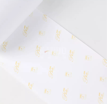 Papier brillant imperméable d'or de photo de jet d'encre de petit pain de pouce 305mm 50m 240g RC de la marque 12 pour Fuji DL600 DL650 Noritsu D1005 Dryla fournisseur