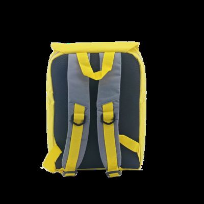 leisure backpack CR-206 Yellow Travel Work Hiking School Sports fournisseur