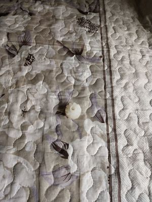 VITESSE 34B7499845 POUR le minilab de la FRONTIÈRE 330 340 350 355 370 375 de FUJI fournisseur