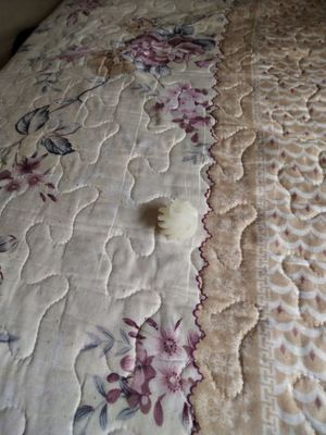 VITESSE 34B7499845 POUR le minilab de la FRONTIÈRE 330 340 350 355 370 375 de FUJI fournisseur