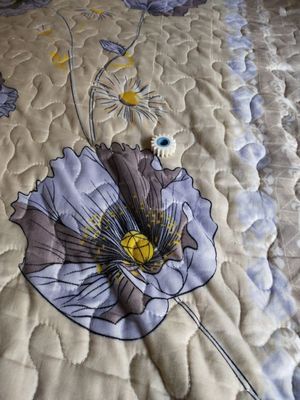 327C1024765 VITESSE TEETH-16 O-CUT POUR le minilab de la FRONTIÈRE 340 500 550 570 390 de FUJI fournisseur