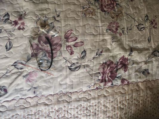 THERMISTANCE de minilab de 115C1060567 Fuji 550 (TY205-S6) fournisseur